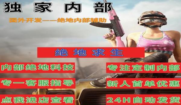 pubg辅助怎么删干净