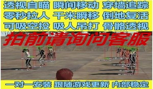 pubg有什么物理外挂（如何识别和防范pubg中的物理外挂？）
