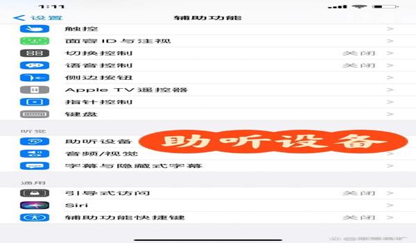 苹果手机辅助功能怎么设置