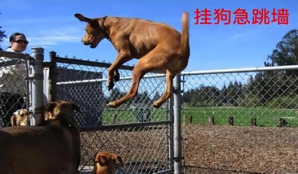 绝地求生自瞄是什么原理啊