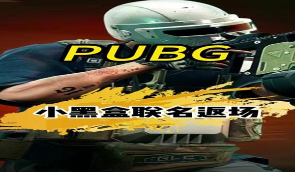手柄吃鸡pubg有外挂吗（手柄在pubg中的优势与劣势是什么？）