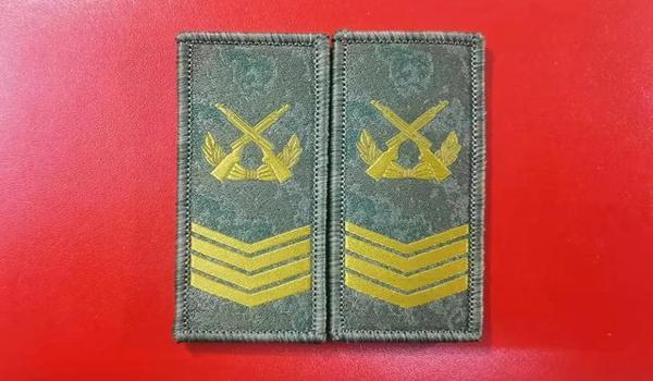 绝地潜兵2军衔怎么升级的