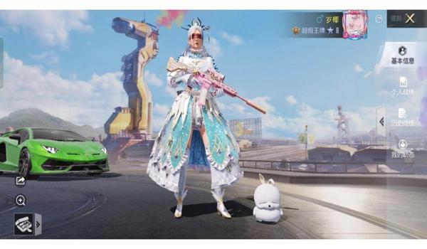 绝地求生流光辅助怎么用