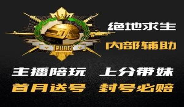 什么pubg辅助最稳（目前最稳定的绝地求生辅助工具有哪些？）
