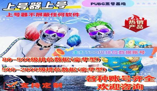 pubg辅助怎么使用（如何下载和安装pubg辅助工具以确保安全性？）